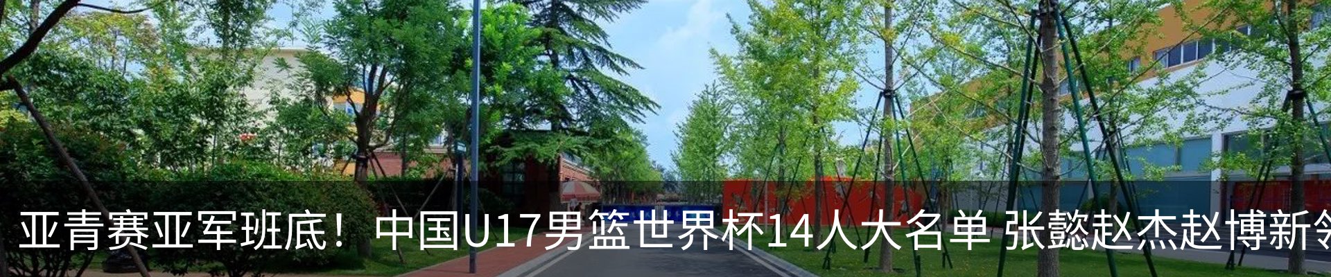 最新动态