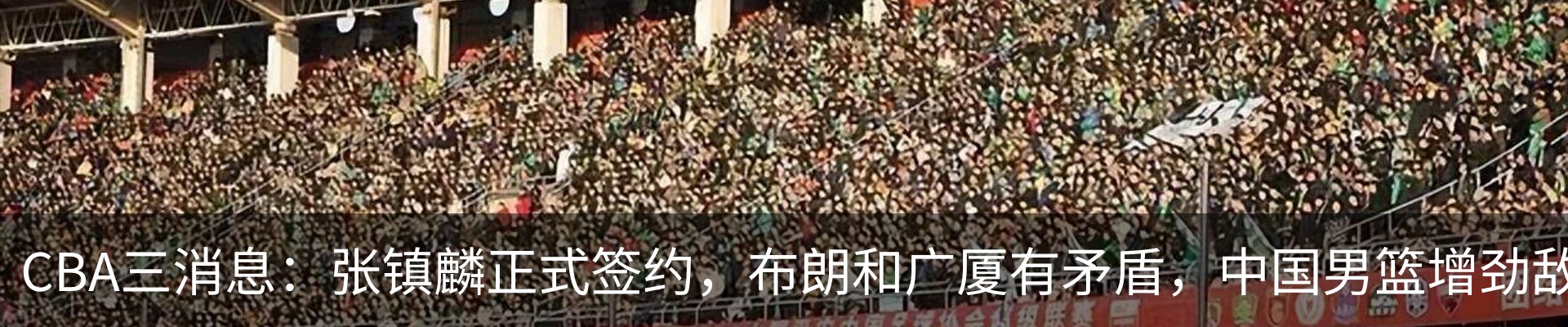 最新动态